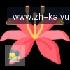 开云APP logo
